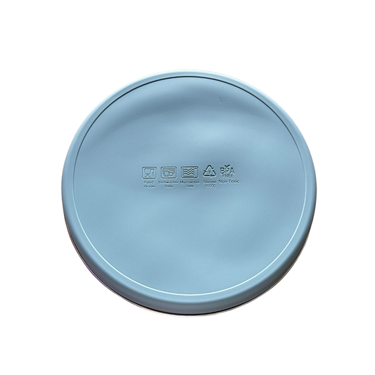 Everyday Stainless-Steel Plate - Ash Blue