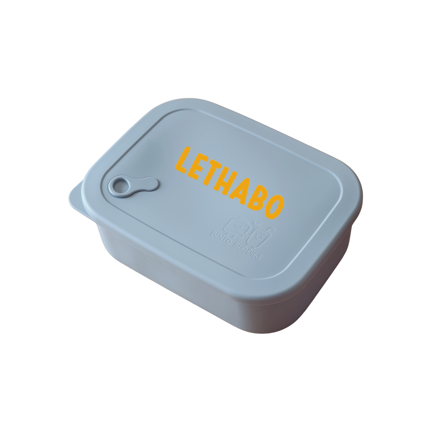 Go Box - Ash Blue