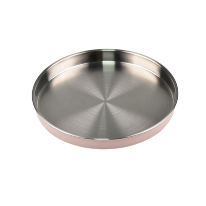 Everyday Stainless-Steel Plate - Dusty Rose